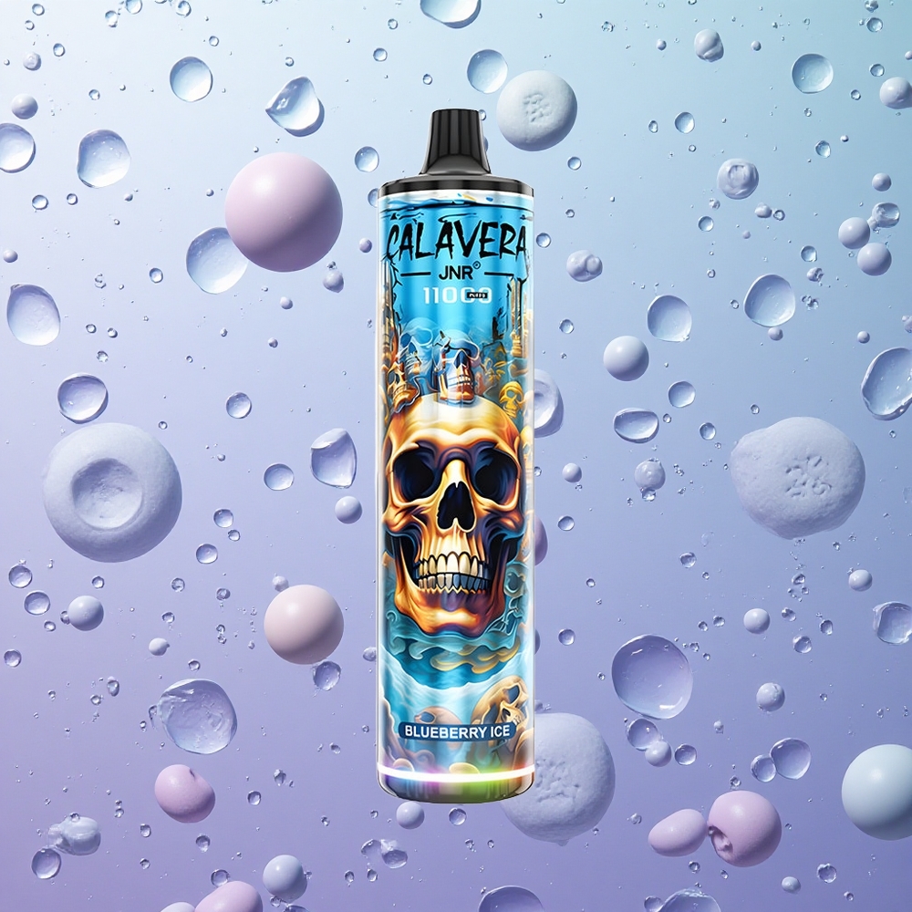 JNR Calavera 11000 Puffs Blu Mirtillo Ghiaccio Italy wholesale Porta Type-C Batteria 850mAh