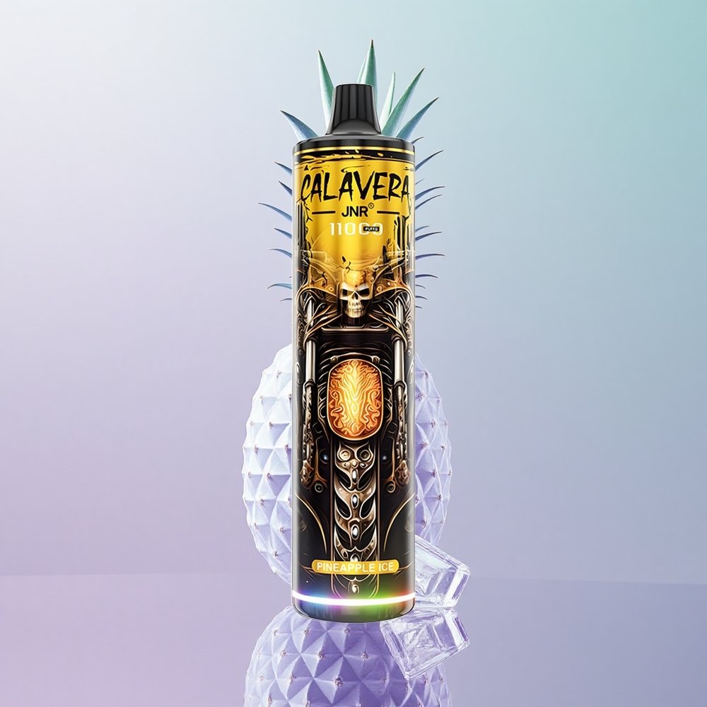 JNR Calavera 11000 Puffs Disposable Vape Ananas Ice Italy wholesale Porta Type-C 21ml E-Liquid