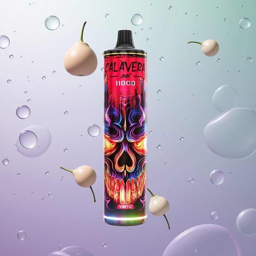 JNR Calavera 11000 Puffs Porta USB-C 21ml E-Liquido Italy wholesale