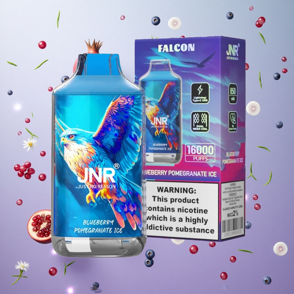 JNR Falcon 16000 Puffs Mirtillo Melograno Ghiaccio Italy wholesale Batteria 850 mAh
