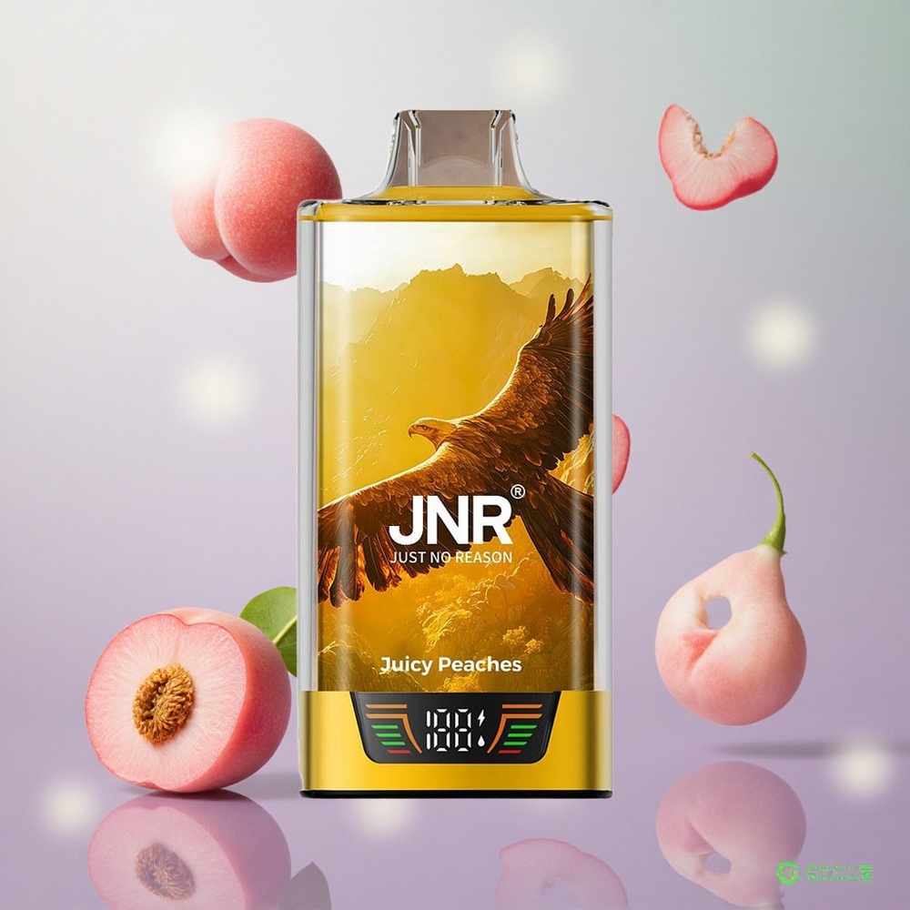 JNR Falcon Pro 28000 Pesche Succose Italy wholesale 30ml Capacità Pre-Riempiuta USB Type-C