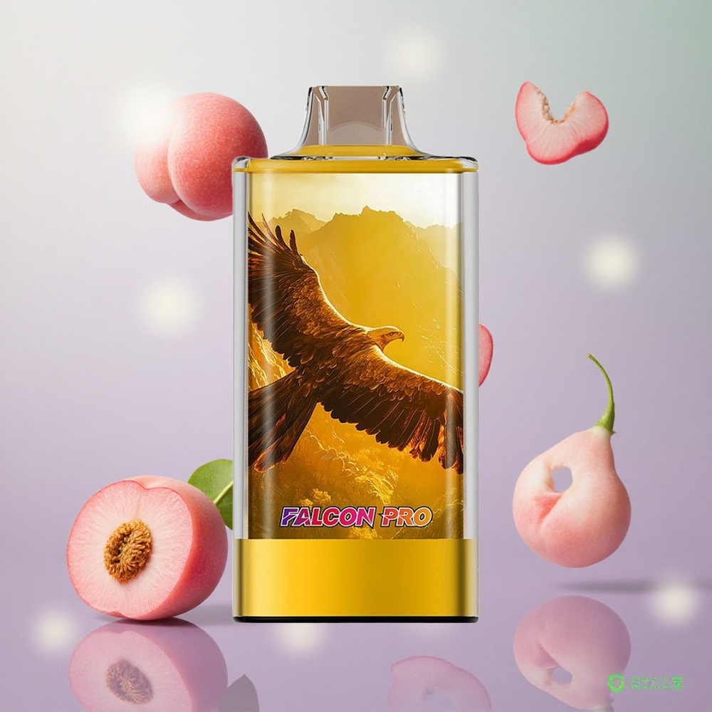 JNR Falcon Pro 28000 Pesche Succose Italy wholesale 30ml Capacità Pre-Riempiuta USB Type-C