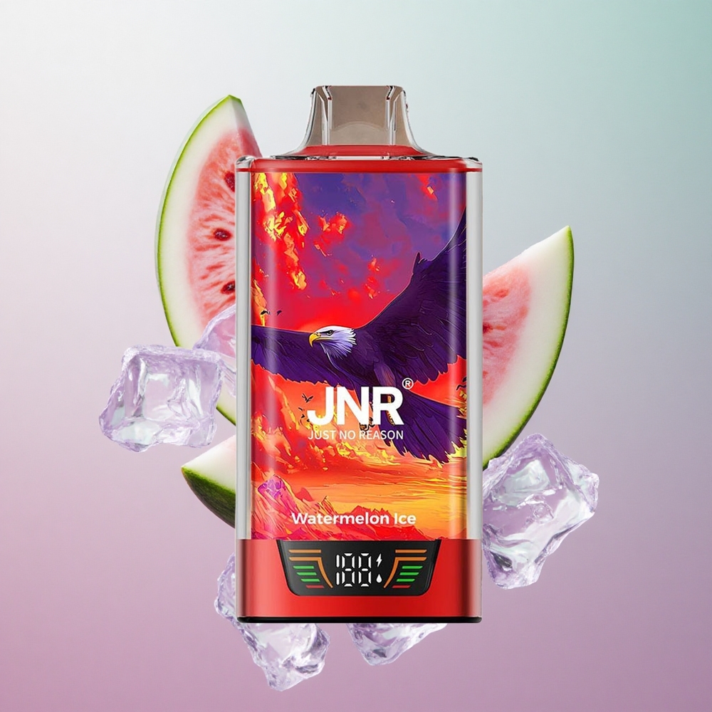 JNR Falcon Pro 28000 Puffs Anguria Ghiaccio Italy wholesale 30ml Pre-Filled Smart Display