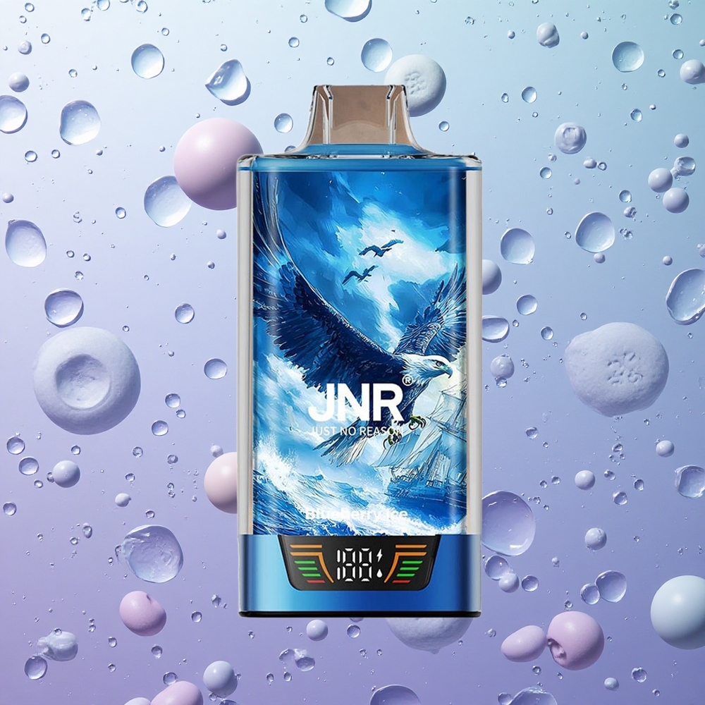 JNR Falcon Pro 28000 Puffs Mirtillo Ghiaccio Italy wholesale 30ml 28000 Puff