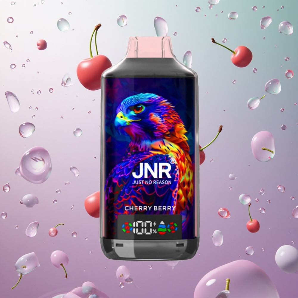 JNR Falcon X 18000 Puffs Cherry Berry Italia wholesale Display Digitale Tipo-C Ricarica Rapida