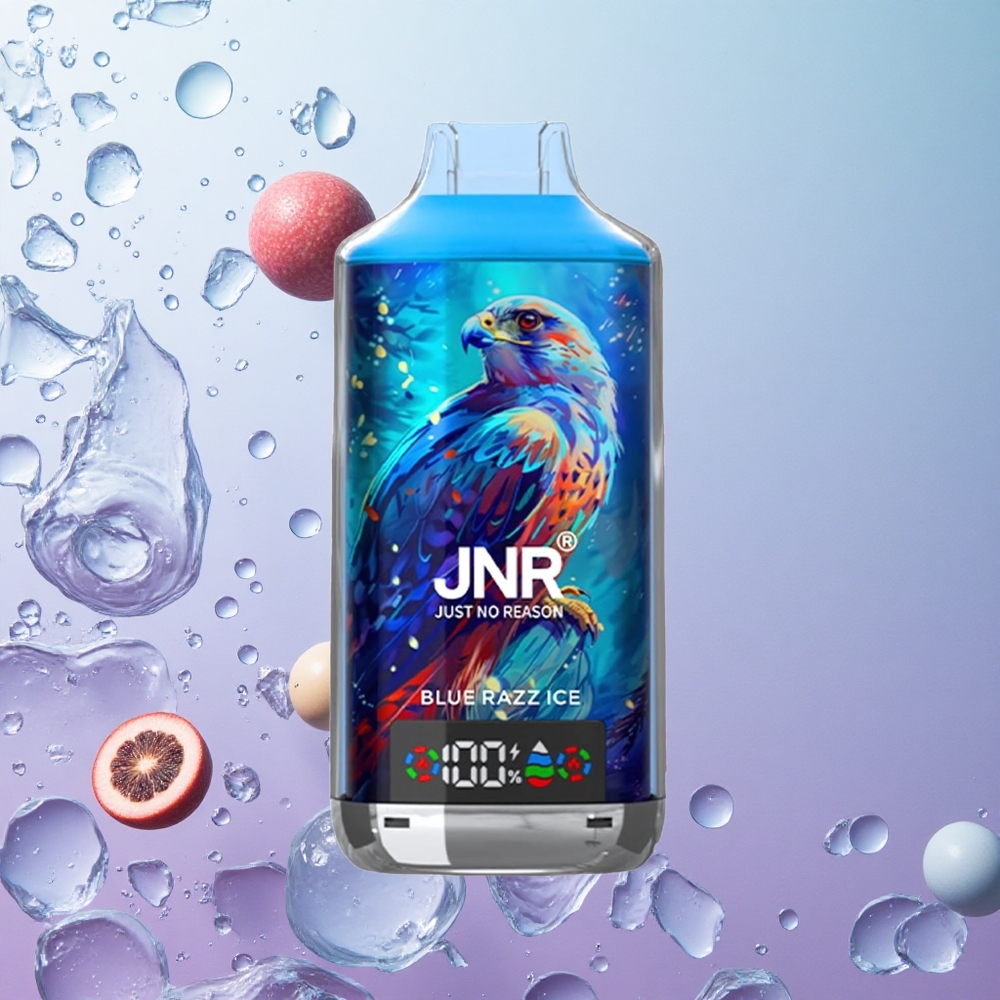 JNR Falcon X 18000 Puffs Disposable Vape Mirtillo Ghiaccio Italy wholesale 24ml Dual Mesh Coil