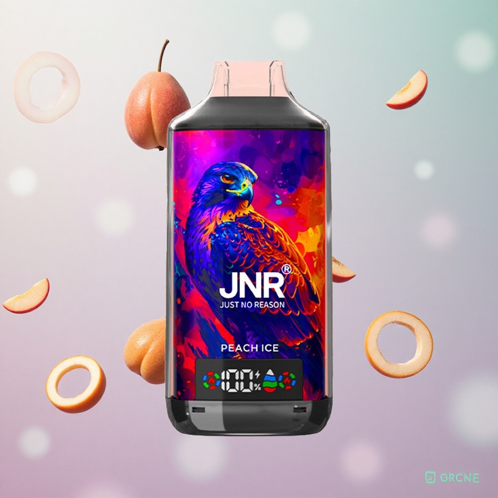 JNR Falcon X 18000 Puffs Dispositivo di Svapo Ghiaccio Pesca Italy wholesale Dual Mesh Coil