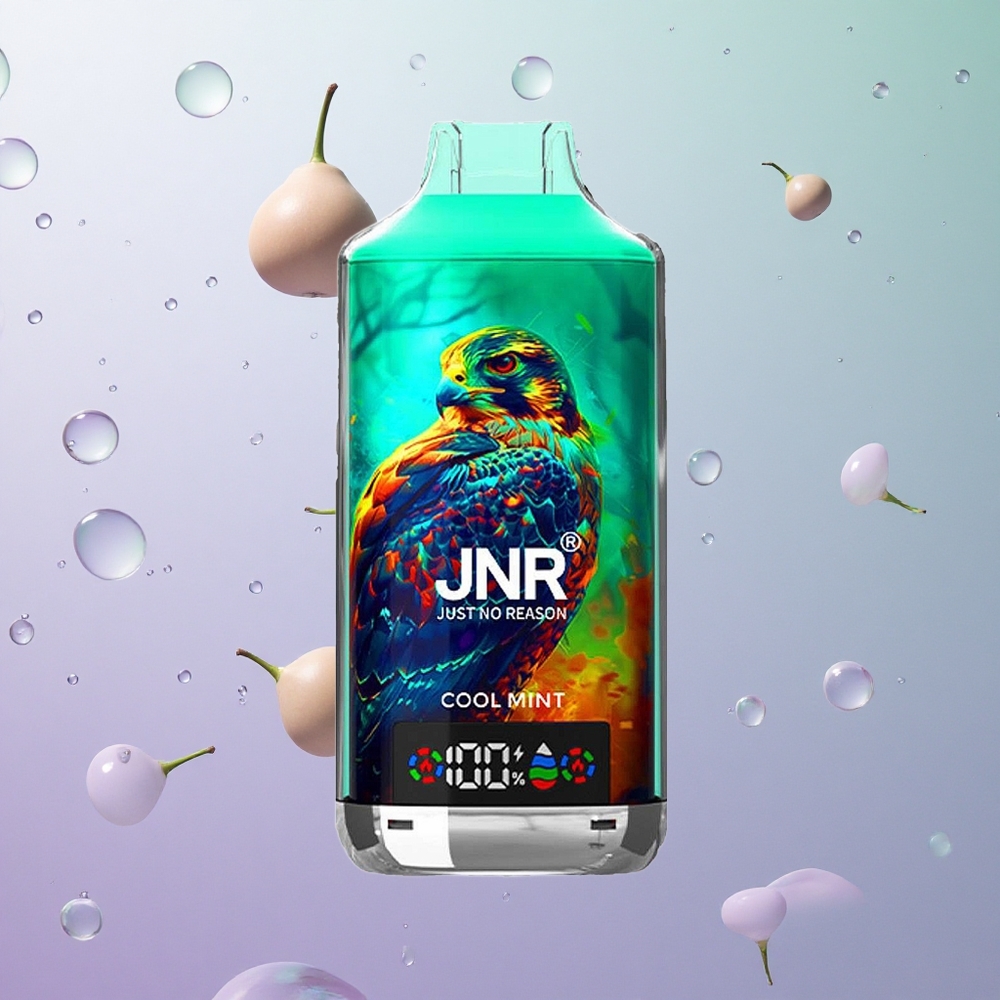 JNR Falcon X 18000 Puffs Menta Fresca Italy wholesale Capacità E-liquid: 24ml