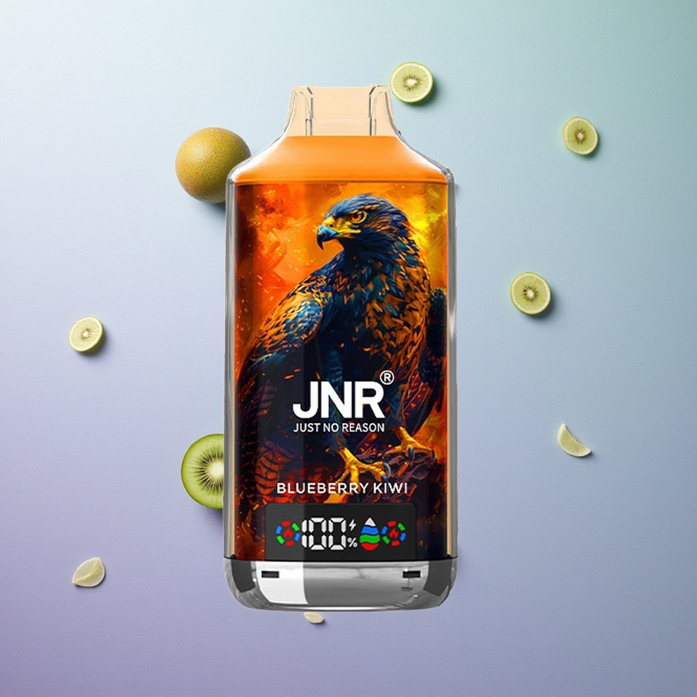 JNR Falcon X 18000 Puffs Mirtillo Kiwi Italy wholesale Ricarica Rapida Type-C Display Digitale