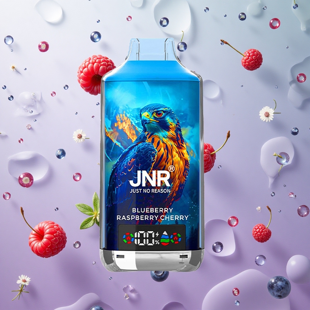 JNR Falcon X 18000 Puffs Mirtillo Lampone Ciliegia Italy wholesale Display Digitale Carica Type-C
