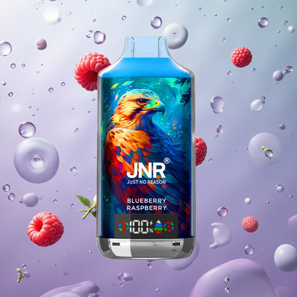JNR Falcon X 18000 Puffs Mirtillo Lampone Italy wholesale Display Digitale Tipo-C Ricarica Rapida