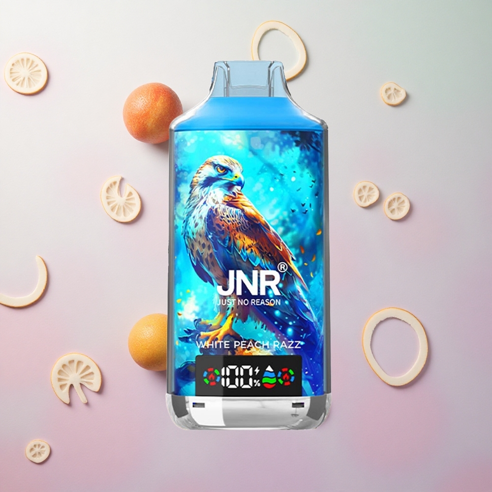 JNR Falcon X 18000 Puffs Pesca Bianca Lampone Italy wholesale Display Digitale Tipo-C Ricarica Rapida