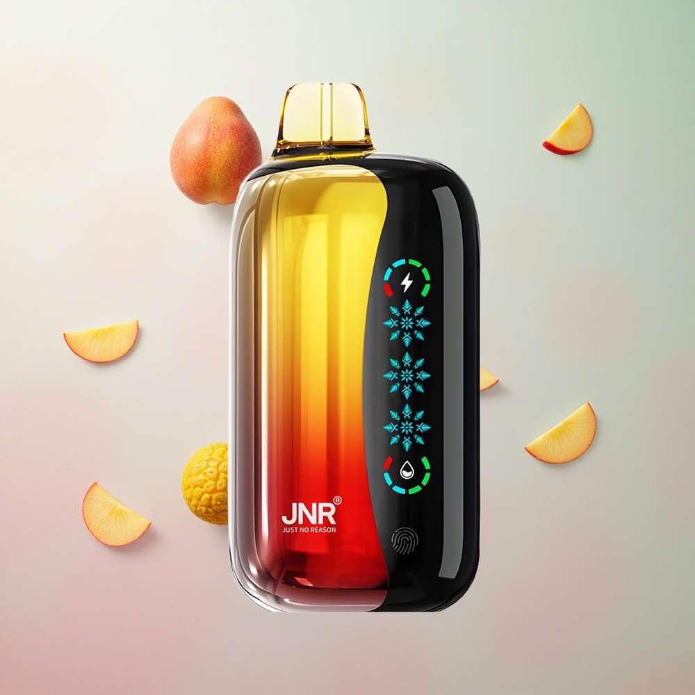 JNR Flex Ice 21000 Puffs Pesca Mango Ananas Italy wholesale Ghiaccio Regolabile Tipo-C