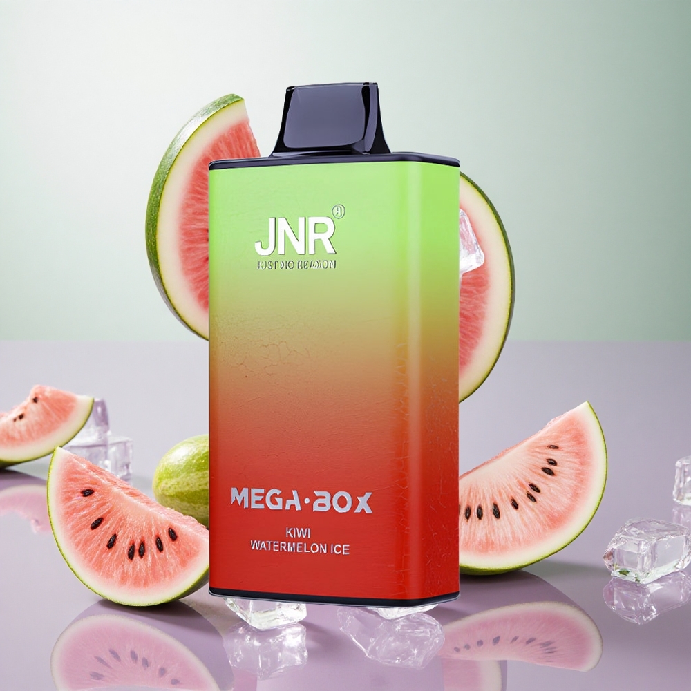 JNR Mega Box 25000 Puffs Disposable Vape Kiwi Anguria Ghiaccio Italy wholesale Dual Mesh Coil