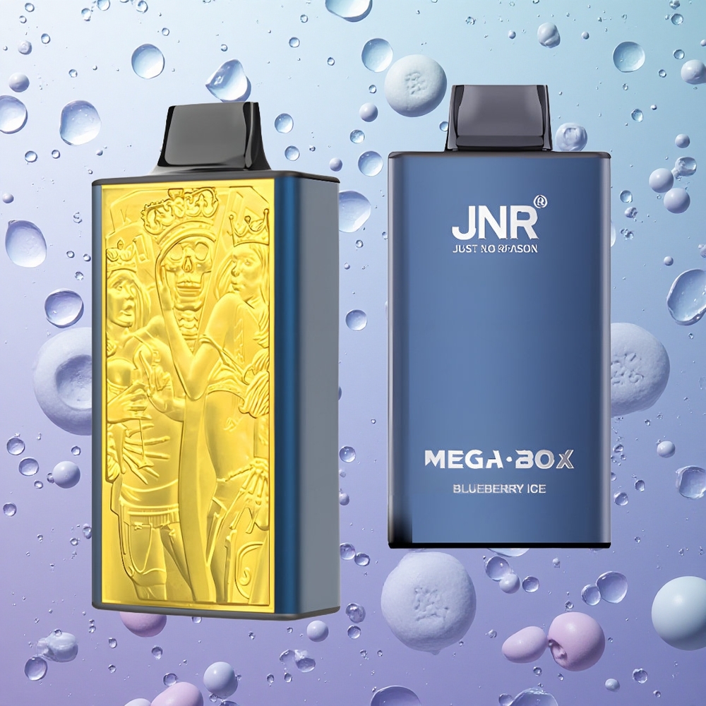 JNR Mega Box 25000 Puffs Mirtillo Ghiaccio Italy wholesale Dual Mesh Coil