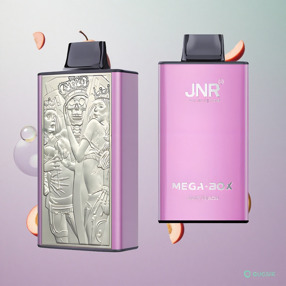 JNR Mega Box 25000 Puffs Pesca Succosa Italy wholesale Dual Mesh Coil