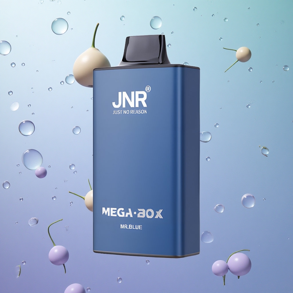 JNR Mega Box 25000 Puffs Sigaretta Elettronica Monouso Blu Italy wholesale Dual Mesh Coil