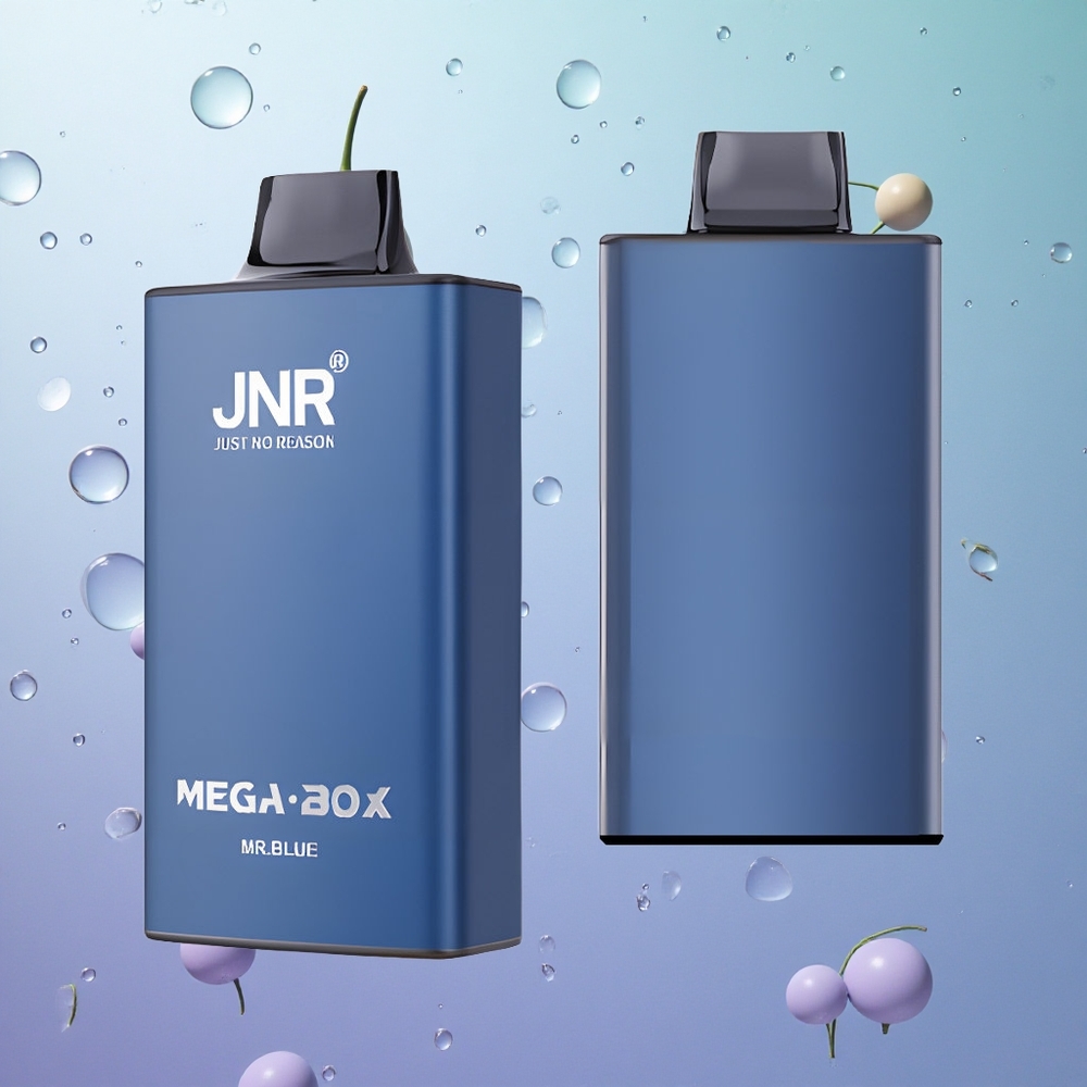 JNR Mega Box 25000 Puffs Sigaretta Elettronica Monouso Blu Italy wholesale Dual Mesh Coil