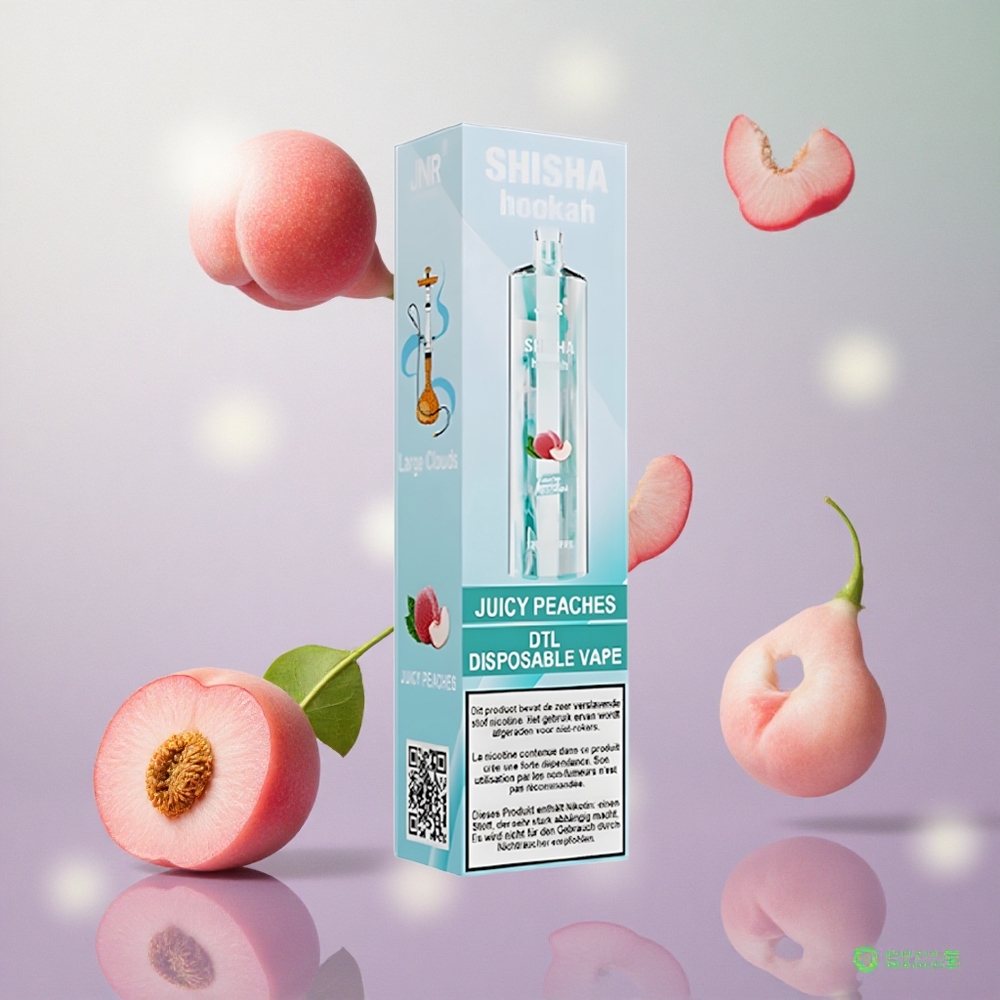 JNR Shisha Hookah 12000 Puffs Pesche Succose Italy wholesale 24ml/750mAh