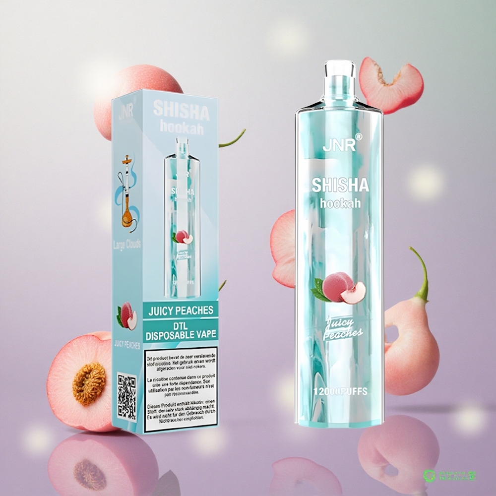 JNR Shisha Hookah 12000 Puffs Pesche Succose Italy wholesale 24ml/750mAh