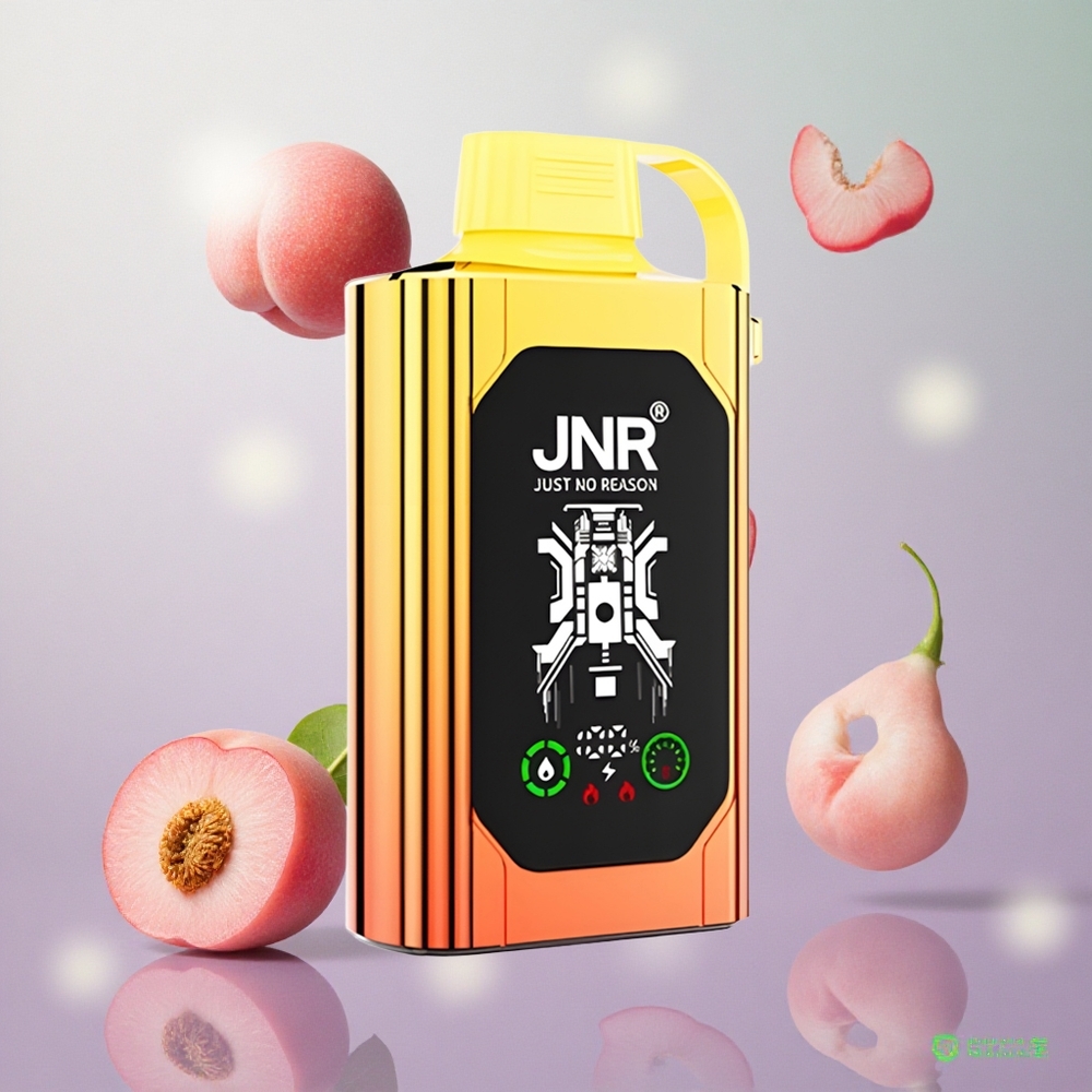 JNR Shisha Hookah Box 20500 Puffs Pesche Succose Italy wholesale Display HD Capacità Batteria 1000mAh