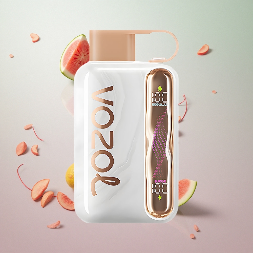 VOZOL STAR 40000 Puffs Fragola Pesca Sigaretta Elettronica Usa E Getta 1000mAh Type-C Italy wholesale