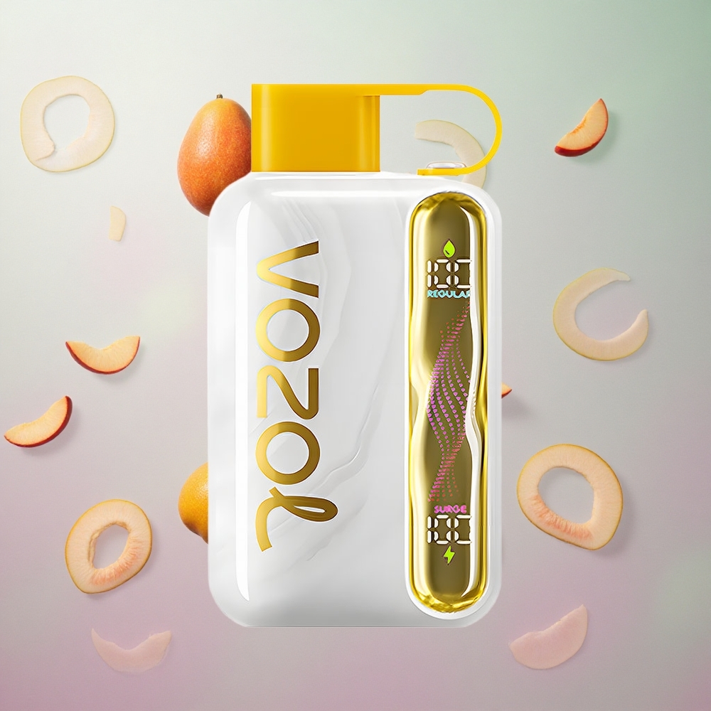 VOZOL STAR 40000 Puffs Mango Pesca Sigaretta Elettronica Usa E Getta 1000mAh Type-C Italy wholesale