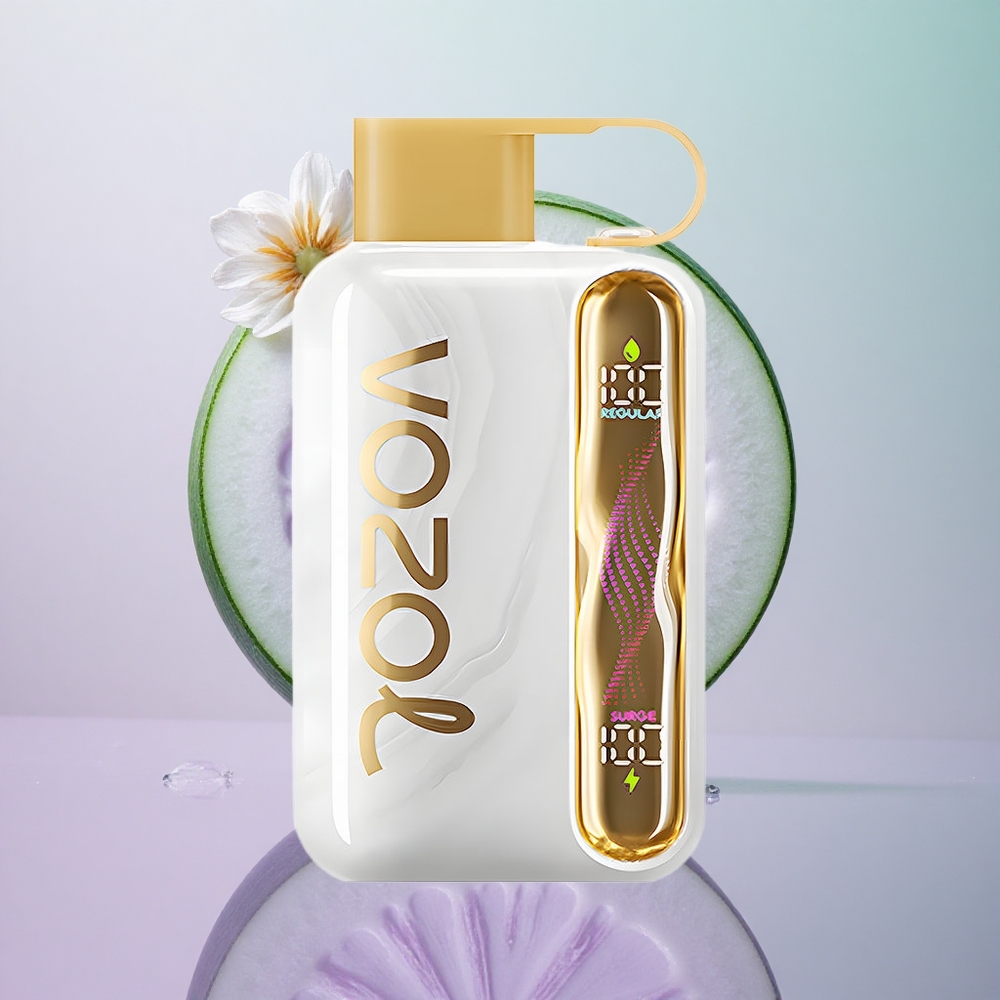 VOZOL STAR 40000 Puffs Melone Ghiaccio Sigaretta Elettronica Usa E Getta 1000mAh Type-C Italy wholesale