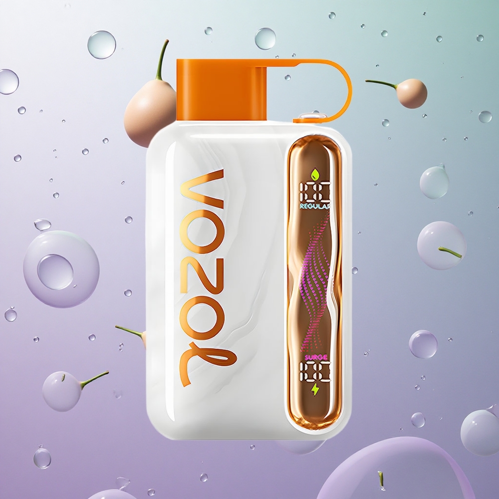 VOZOL STAR 40000 Puffs Sigaretta Elettronica Monouso 1000mAh Tipo-C Italy wholesale