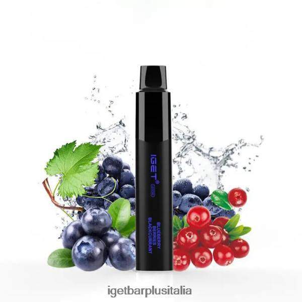 bacche di mirtillo ribes nero