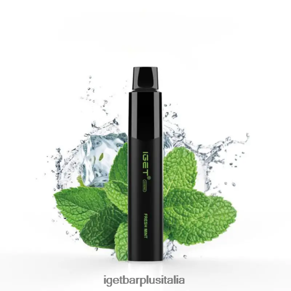 menta fresca